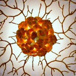 فروش دو تن مفتول کلافی با برگه فروش شرکت