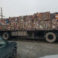 فروش کارتن زنده وپرس شده