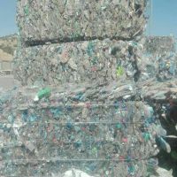 فروش زنده بار
