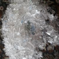 فروش سی دی اسیابی