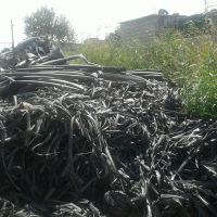 فروش نوارتیپ