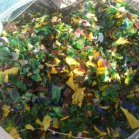 فروش پت آسیابی رنگی با درب و لیبل