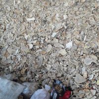 نان موادغذایی