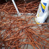 فروش کابل استخوانی قرمز