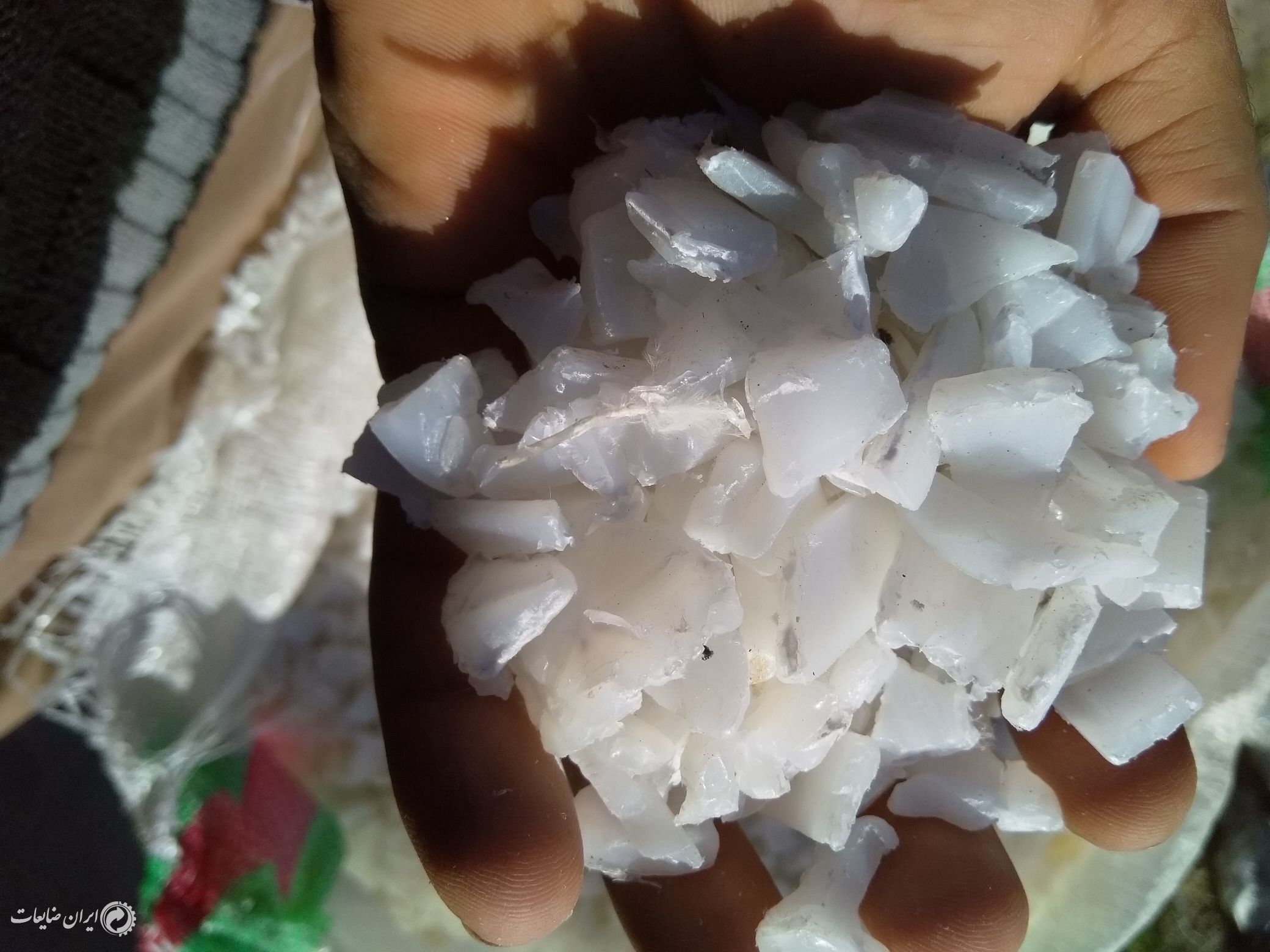 سبد مرغی آسیاب شده سبز سفید زرد