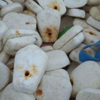 کائوچو تور ماهیگیری