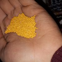 فروش رنگ پایه پت