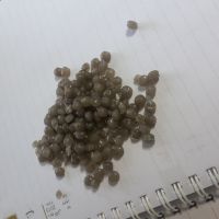 گرانول پ پ عسلی