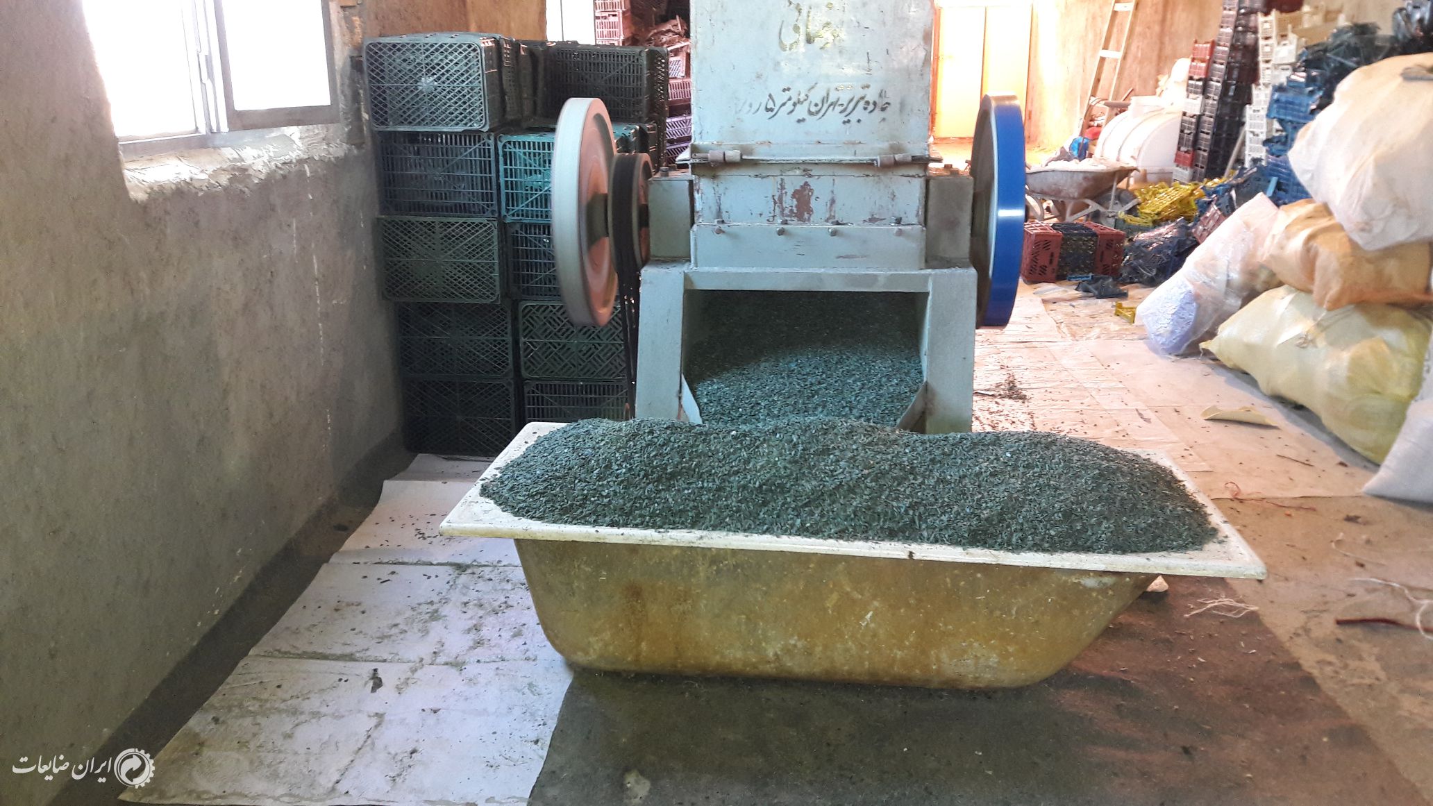 فروش آسیاب شده سبد میوه