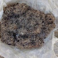فروش سیم ریزلاستیک درحد/4الیاف