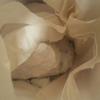 فروش پودر شیشه