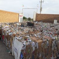 کارتن پرسی