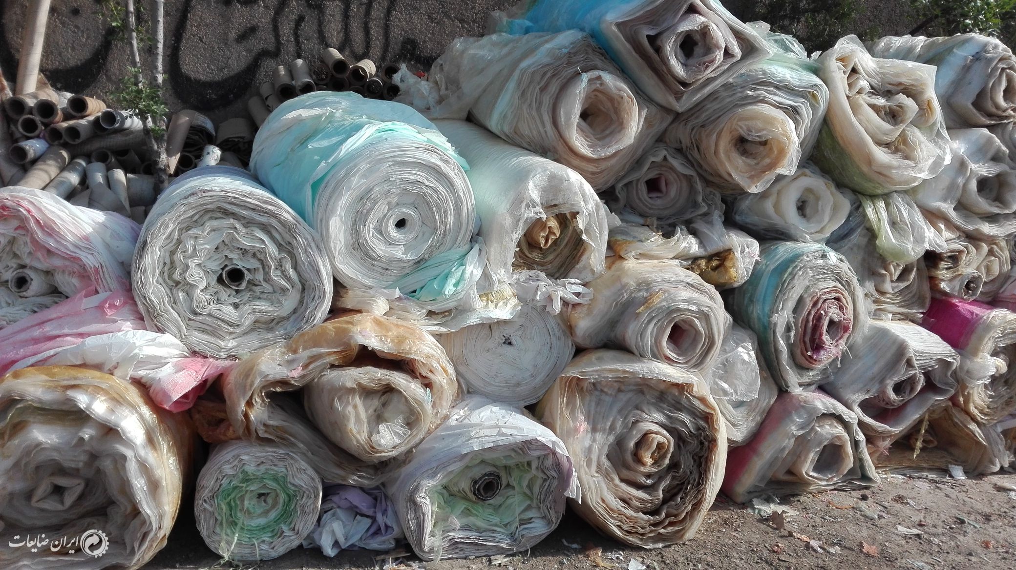 فروش مشنبا رولی بار نرفته