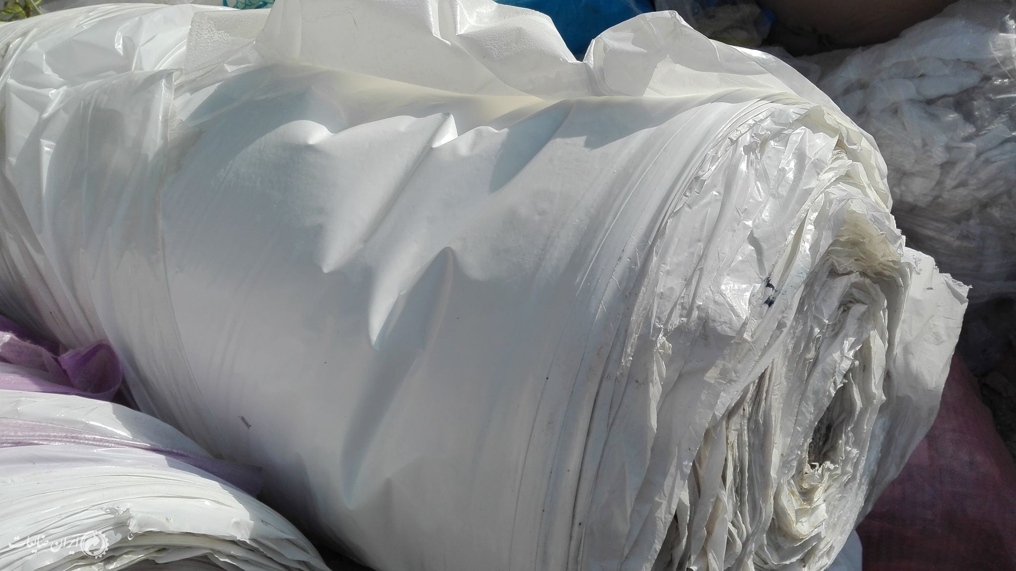 فروش مشنبا رولی بار نرفته