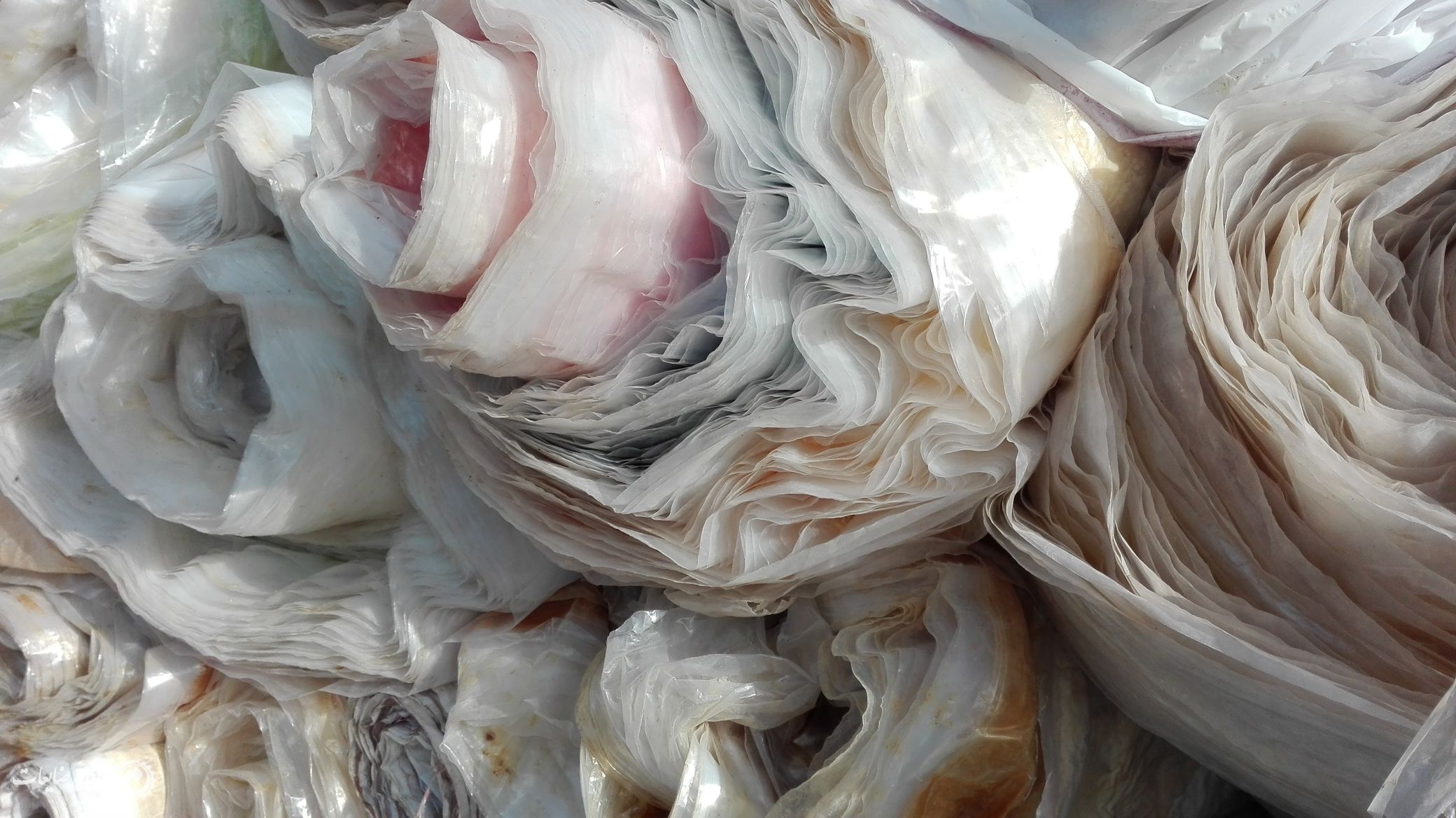 فروش مشنبا رولی بار نرفته