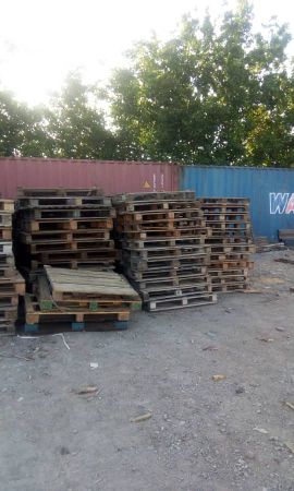 پالت چوبي حدود 1000 عدد