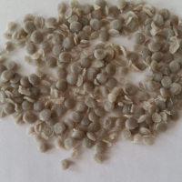 فروش گرانول عدسی