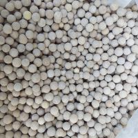 فروش کاتالیز