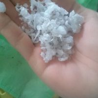 بار کندری پالتی سفید