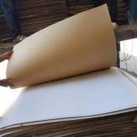 فروش شیت مقوا (اندازه 80 در 120)