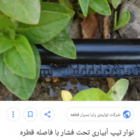 خریدار نوار تیپ قطره ای