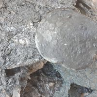 فروش مواد اکسیدور گونی