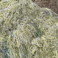 پوشال میوه ای