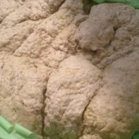 ضایعات پشم سنگ