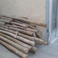 خرید انواع چوب روسی پالت درخت و غیره