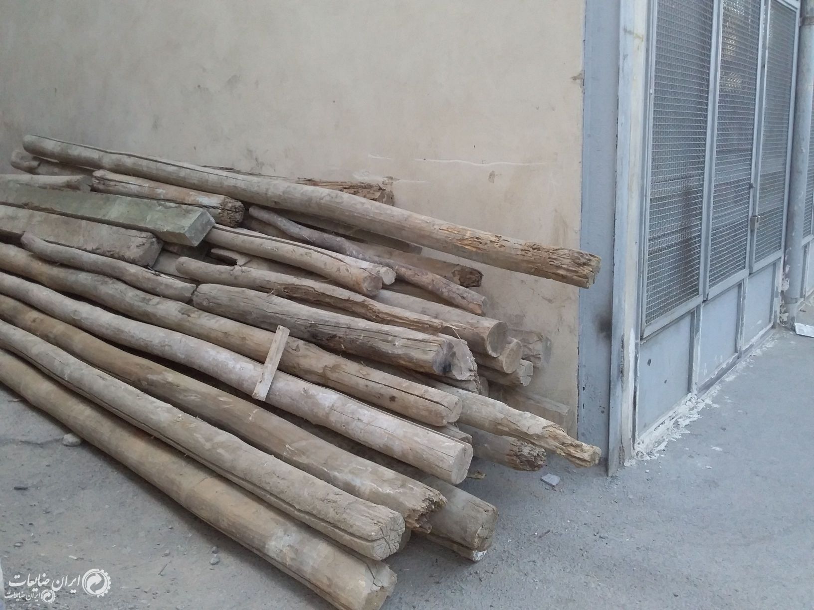 خرید انواع چوب روسی پالت درخت و غیره