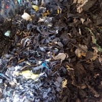 نایلون اسیابی مشکی رنگی