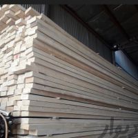 چوب نو روسی