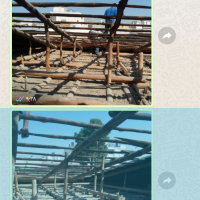چوب سنو بر وسپیدار