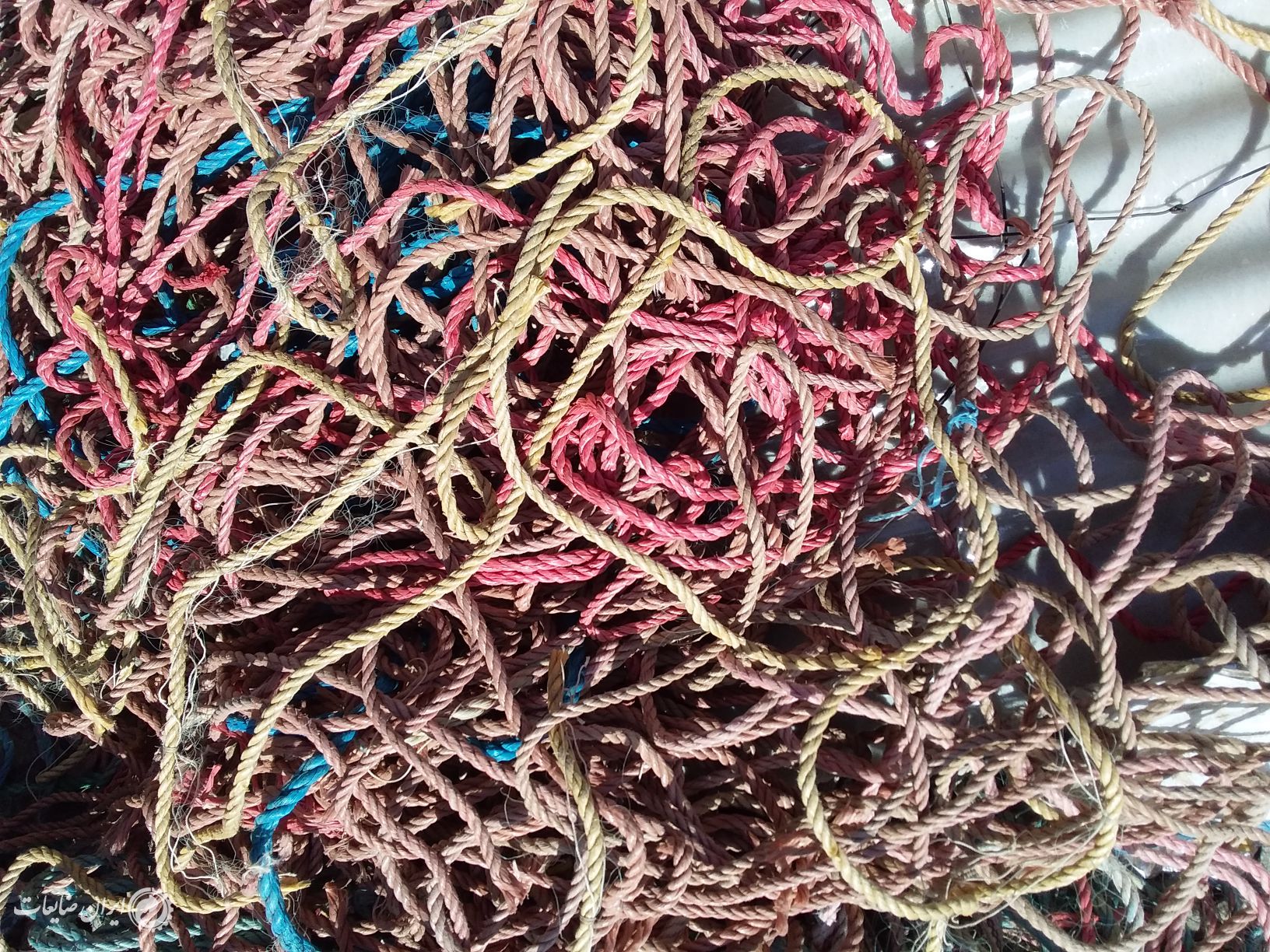 طناب پلاستیکی