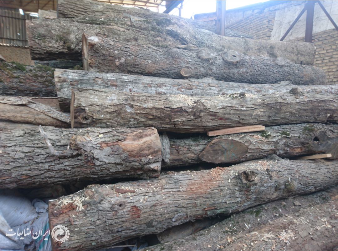چوب تخته جنگلی باغی در ابعاد مختلف
