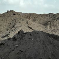 فروش نرمه گندله