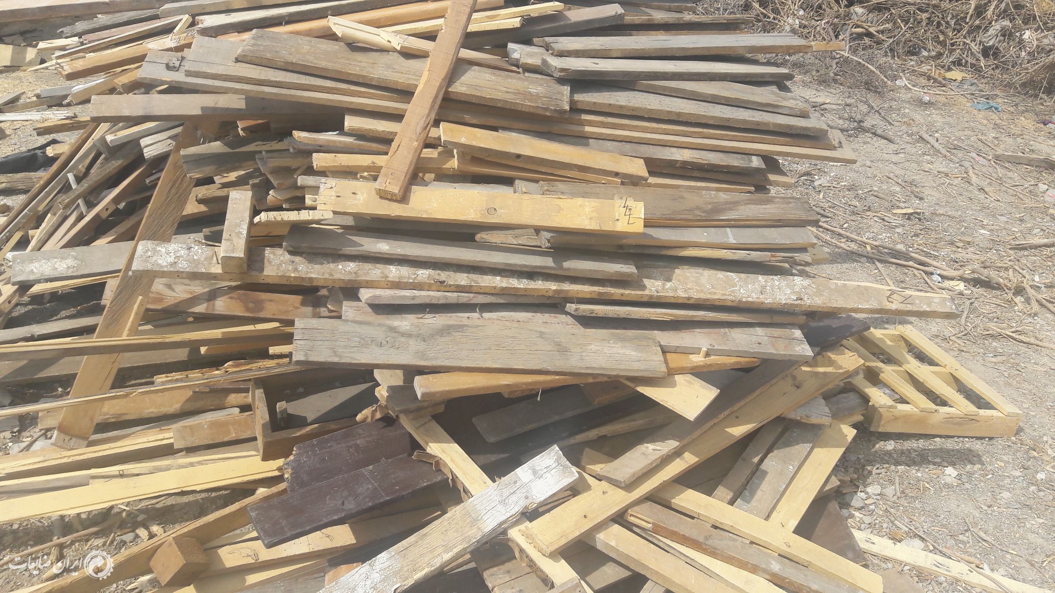 فروش انواع چوب ذغالی درختی چیپس نئوپان