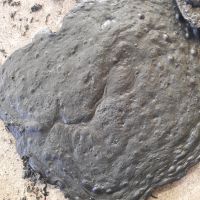 فروش قلمبه اکسیدور شده گونی درجه 1