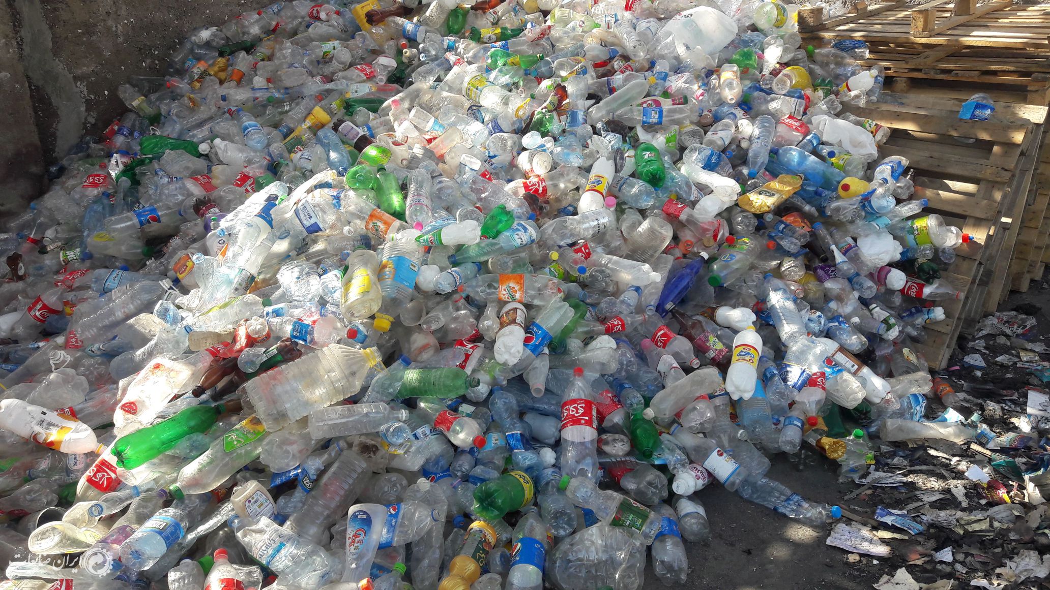 فروش پت پرس درجه یک