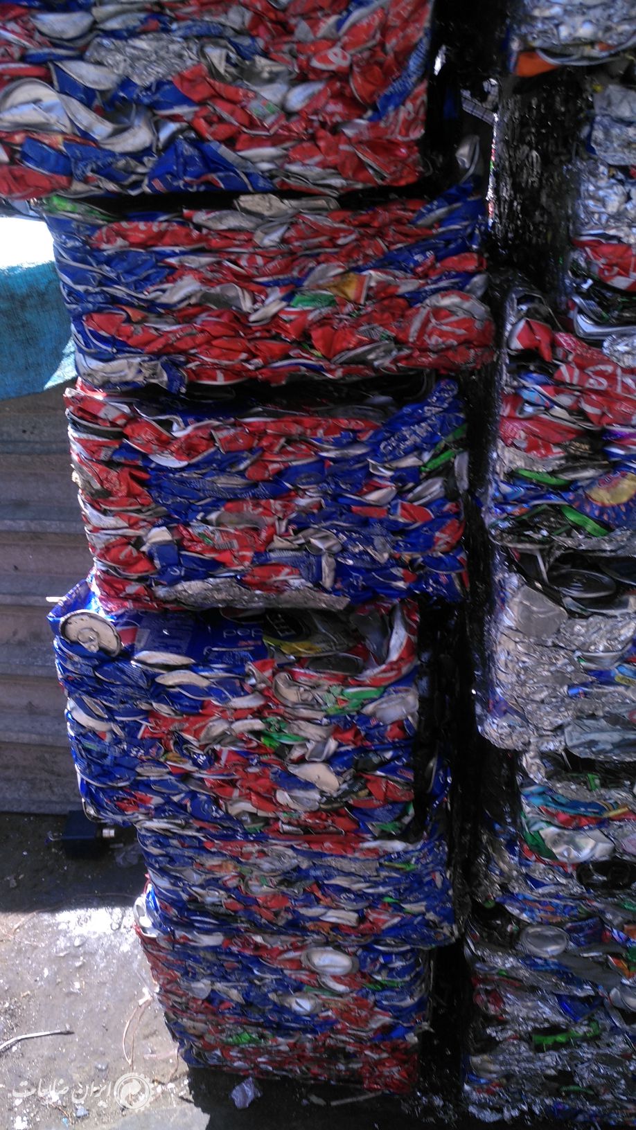 خرید قوطی رانی