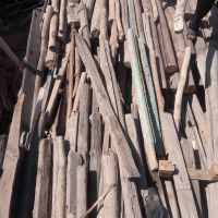 خریدکنده درختان همه نوع