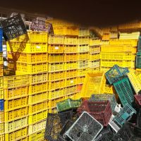 ضایعات سبد شکسته