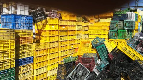 ضایعات سبد شکسته