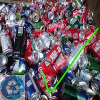 خرید قوطی رانی زنده تمیز