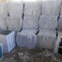 فروش پوشال سفید