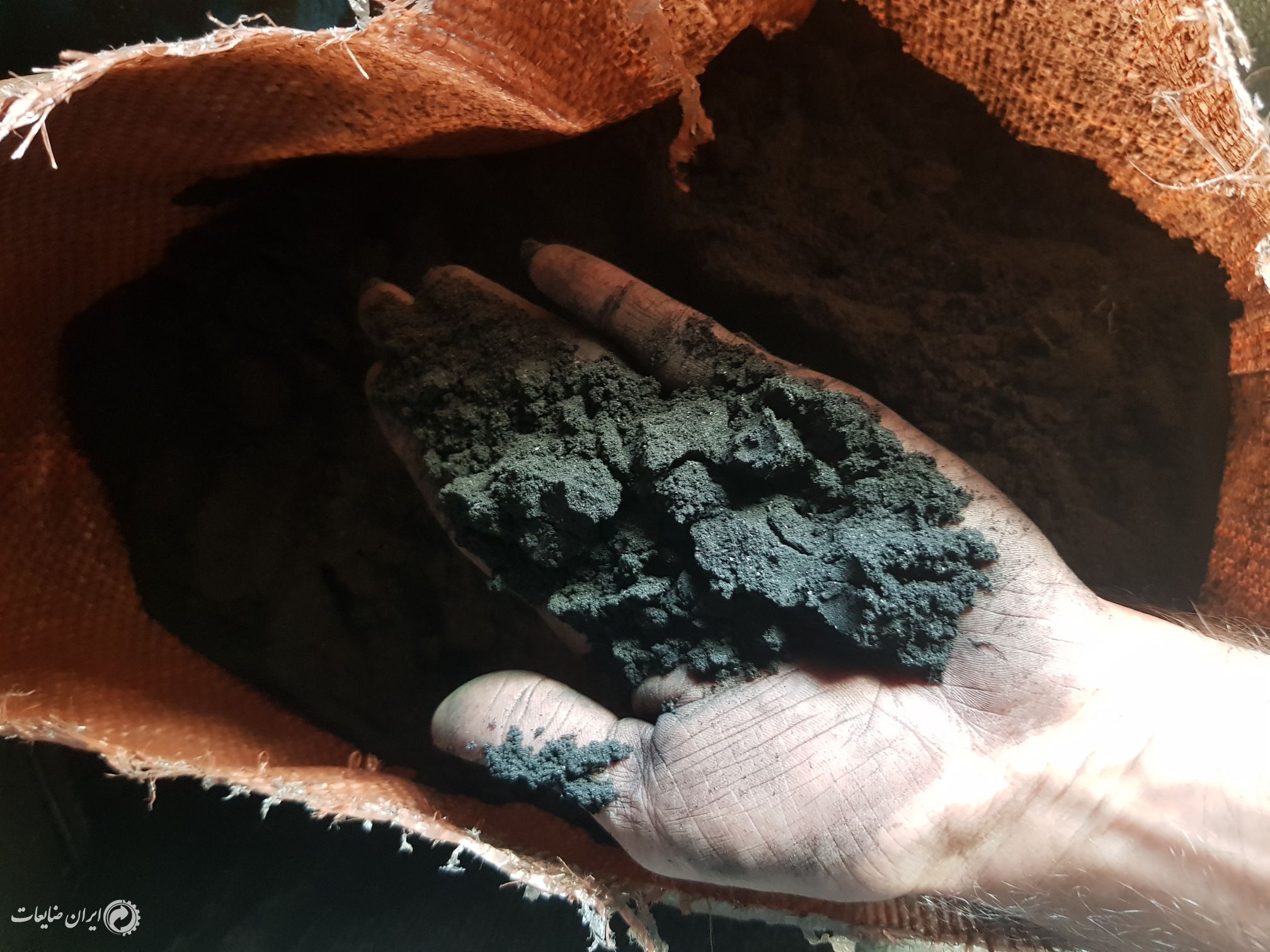 فروش خاک زغال خالص پودری