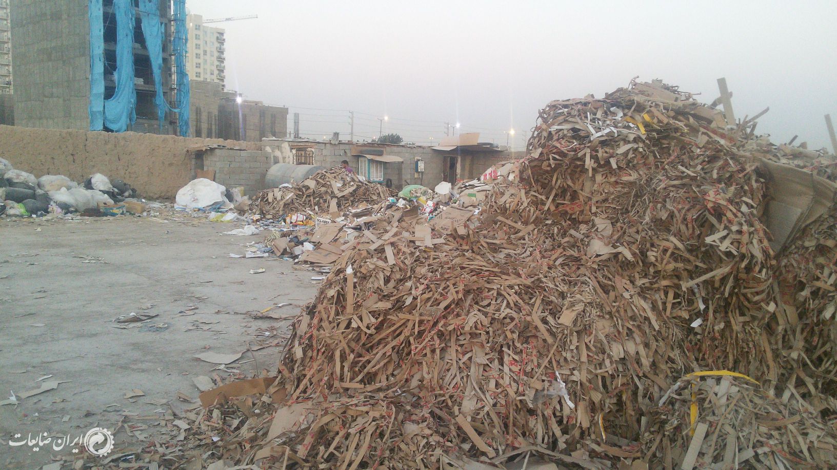 خریدنقدی کارتن خشک شرکتی