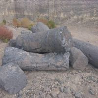 گرافیک روغنی یا همون الکتورد
