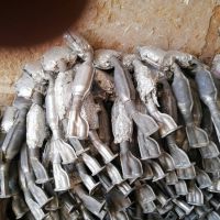 خریدار کاتولیز شما