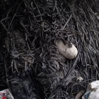فروش نوار تیپ